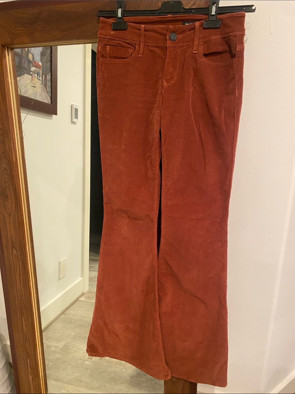 Black Orchid Corduroy Pants in Rust
